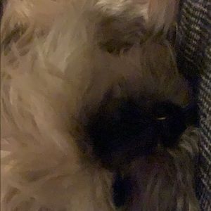 Meet your Posher, Nadia